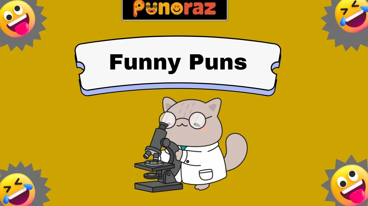 Funny Puns