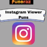Instagram Viewer Puns