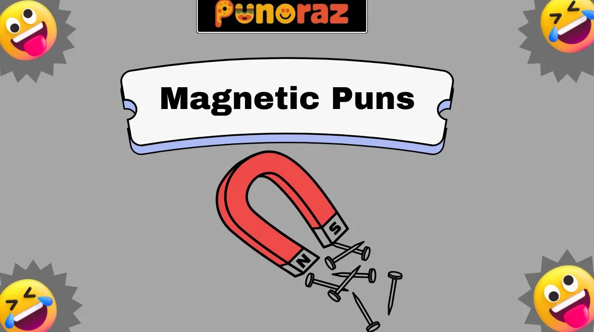 Magnetic Puns
