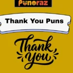 Thank You Puns