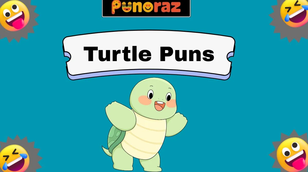 Turtle Puns
