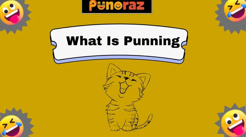 What Is Punning